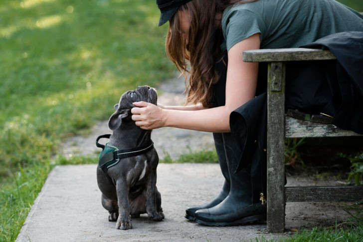 una donna seduta su una panchina che si china in avanti per accarezzare il muso del cane seduto di fronte a lei