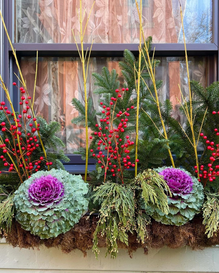 Jardinière avec branches de sapin, baies et choux décoratifs