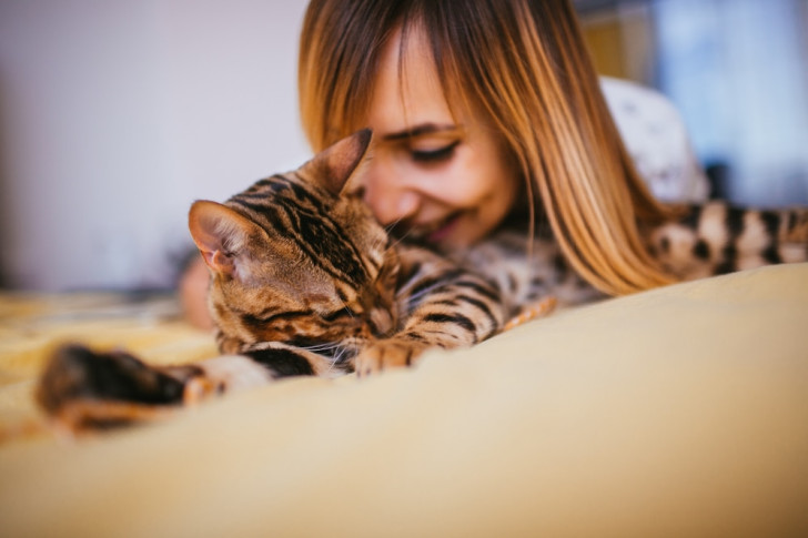 un gatto tigrato sdraiato che fa le fusa mentre una donna lo coccola avvicinando il naso al pelo sul dorso