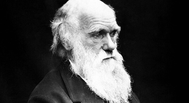 Foto in bianco e nero di Charles Darwin nel 1869