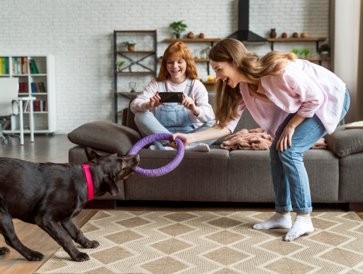 Cane con collare gioca in casa con due donne