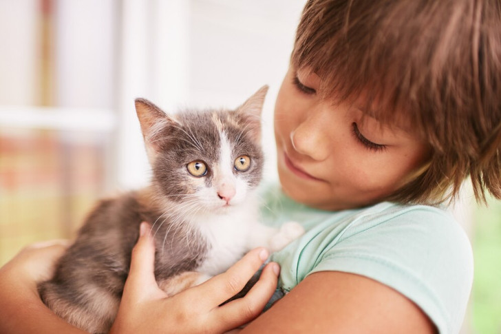 un ragazzino tiene in braccio un gattino grigio