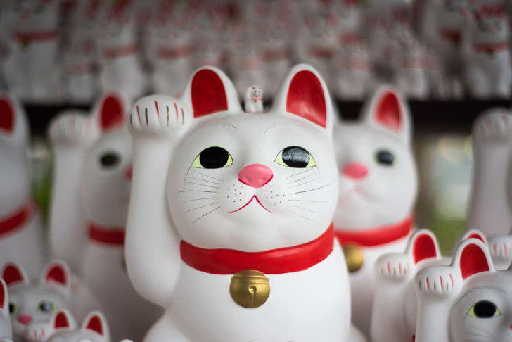 statuine di Maneki neko al tempio Gotokuji