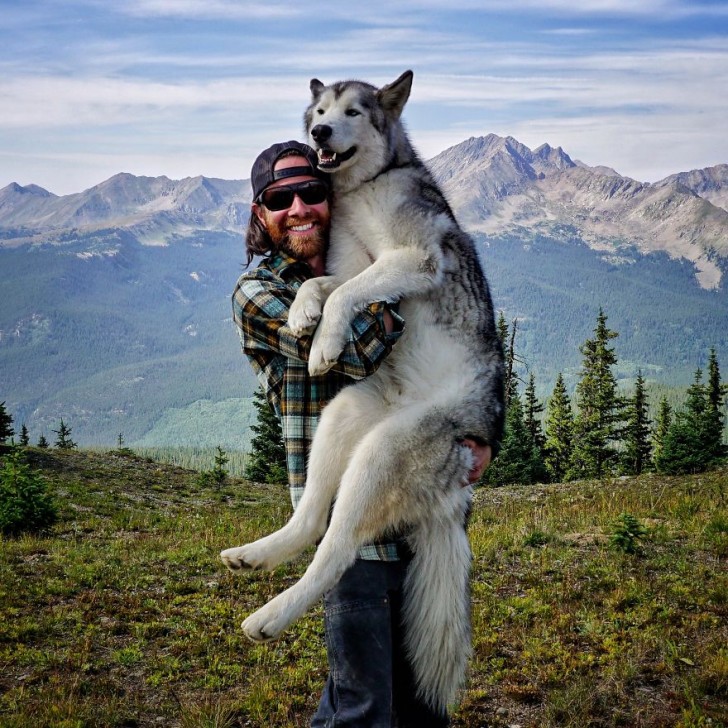 Hij neemt zijn wolfshond mee op een EPISCHE reis, omdat hij vindt dat honden niet opgesloten horen te zitten in een tuin - 2