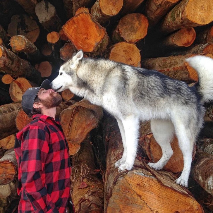 Hij neemt zijn wolfshond mee op een EPISCHE reis, omdat hij vindt dat honden niet opgesloten horen te zitten in een tuin - 9