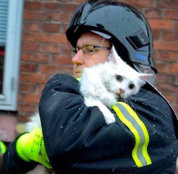 Een kat klampt zich vast aan de man die haar heeft gered uit een brandend huis.