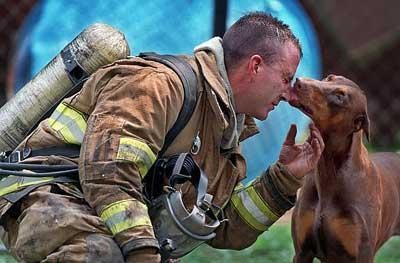 Voici comment un chien remercie le pompier qui a éteint le feu.