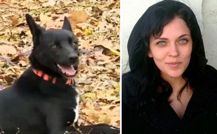 Deze hond legt meer dan 300 km af om bij de dame terug te keren die haar het leven had gered - 1