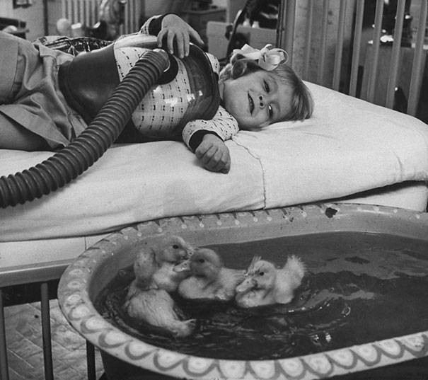 1965 : les animaux sont déjà utilisés comme thérapie pour les enfants malades
