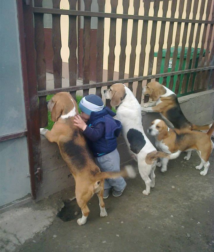 Hunde sind extrem neugierige Tiere, die auch Kinder dazu inspirieren, die Umgebung zu erkunden.