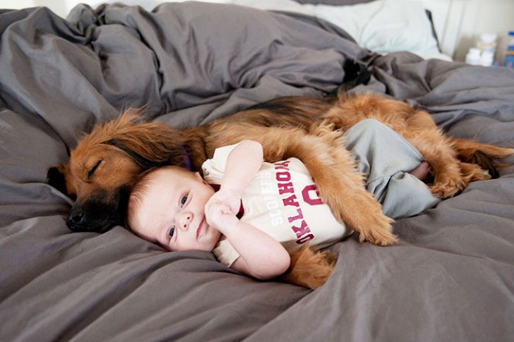 Der Hund wird einen Beschützerinstinkt entwickeln und euer Kind zu jeder Zeit bewachen.