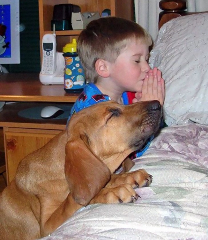 Sono un divertimento anche per i più grandi che vedono comportarsi i cani in modo bizzarro quando sono in compagnia dei bambini.