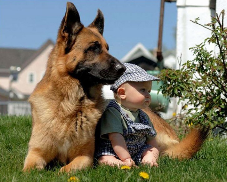 Condividendo momenti insieme fin dai primi giorni di vita, il bambino svilupperà un senso di rispetto verso gli animali. 