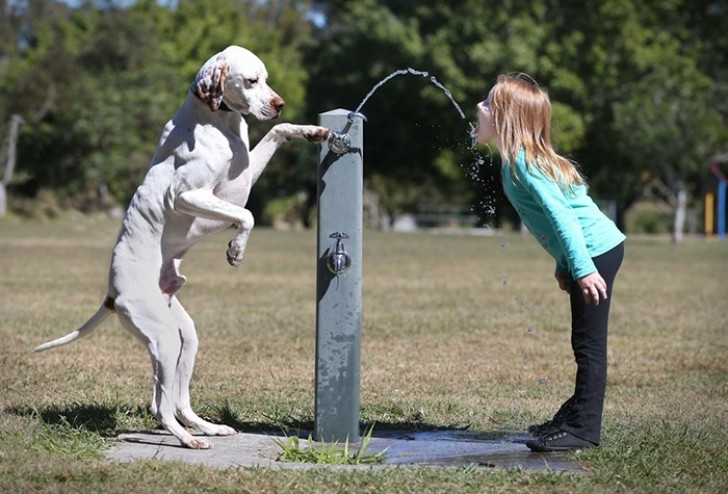 Et si le chien devient un vrai complice, le lien sera indissoluble.