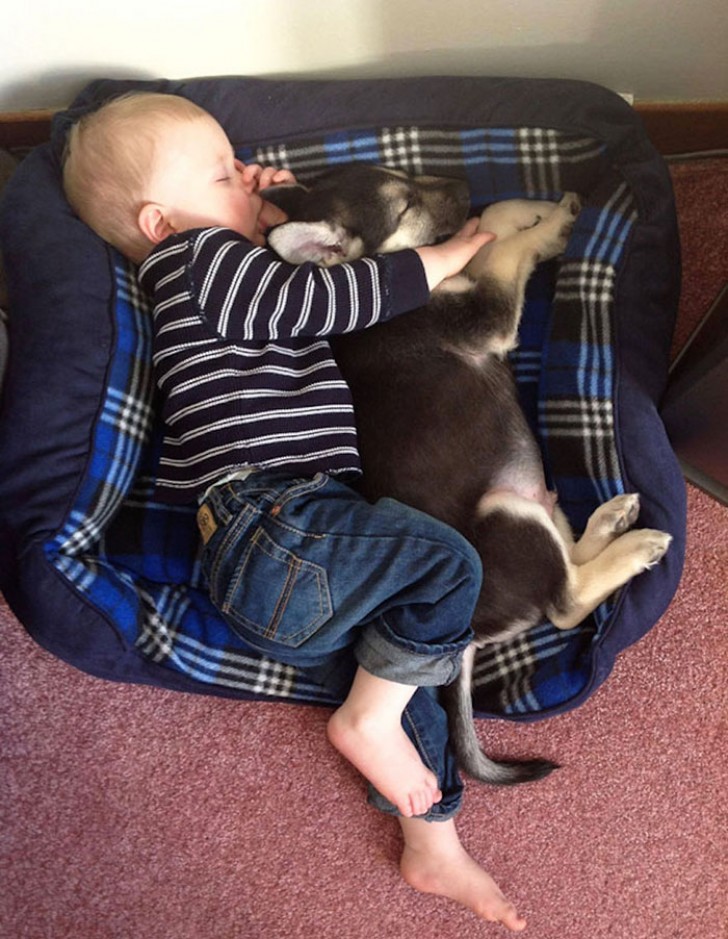 I bambini che hanno un animale domestico in casa sono spesso anche i più tranquilli.