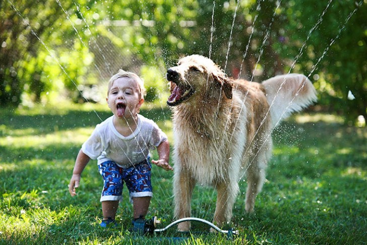 Een hond is een trouwe vriend welke er altijd voor in is om met een kind te spelen.