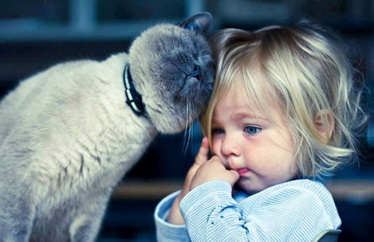 Er bestaat geen betere manier om je te ontspannen dan te knuffelen...het gebeurt vaak dat dieren zich even tot ons wenden voor een intiem momentje samen