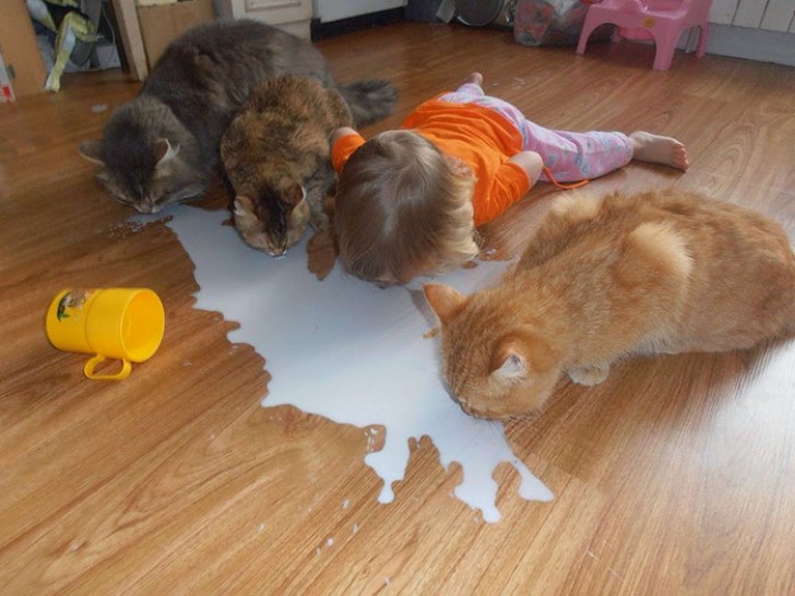 Au lieu de remplir les enfants de jouets pour les divertir, les animaux trouvent toujours un moyen de les amuser.