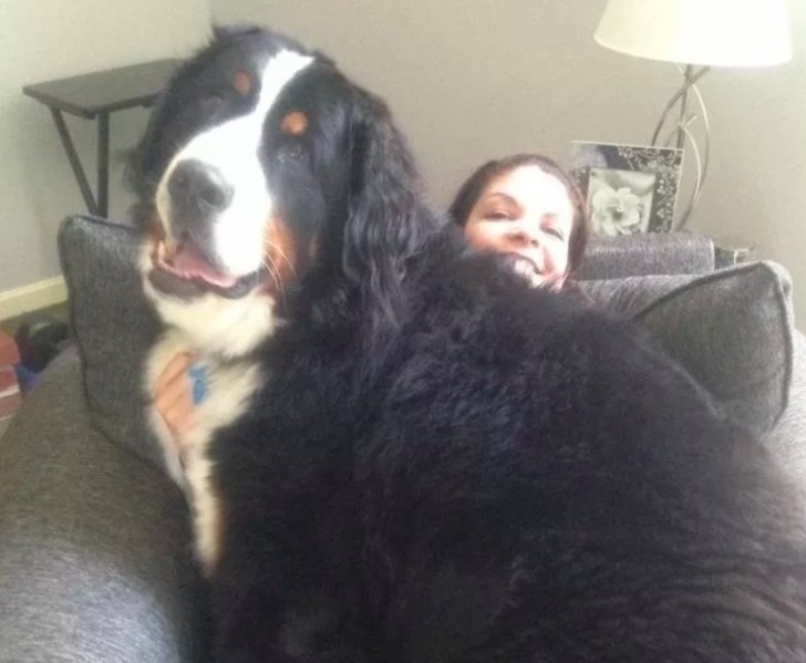 Questa donna si nasconde dietro quello del suo cucciolo che è molto più grande di lei