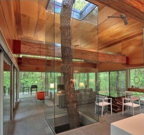 Con il vetro si può creare una struttura che donerà fascino al salotto ed esalterà l'eco-sostenibilità della casa
