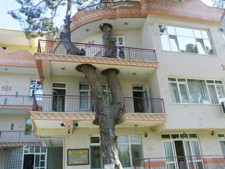 L'albero è arrivato lì molto prima del palazzo... Rinunciare a una porzione di balcone sembrava doveroso