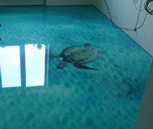 Une tortue marine en 3D