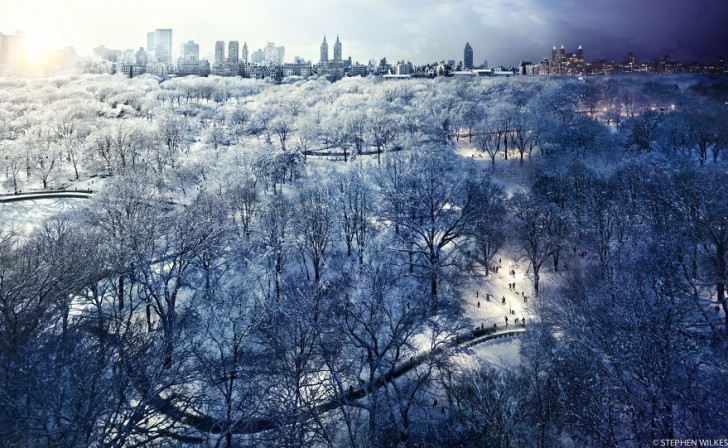 Een sneeuwval van 24 uur heeft het Central Park in New York volledig bedekt met een witte laag.