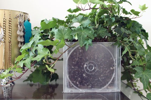 Con un recipiente trasparente come questo è molto affascinante vedere le radici delle piante che si intrecciano tra loro!