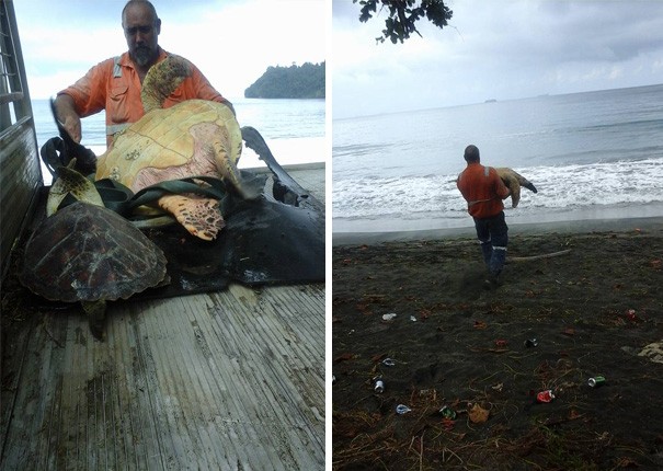 Ein Mann kauft eine Schildkröte auf dem Markt und entlässt sie in die Freiheit des Meeres.