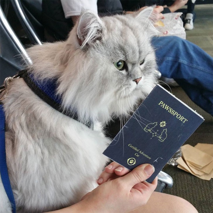 Natürlich hat er zum Reisen auch einen eigenen Pass!