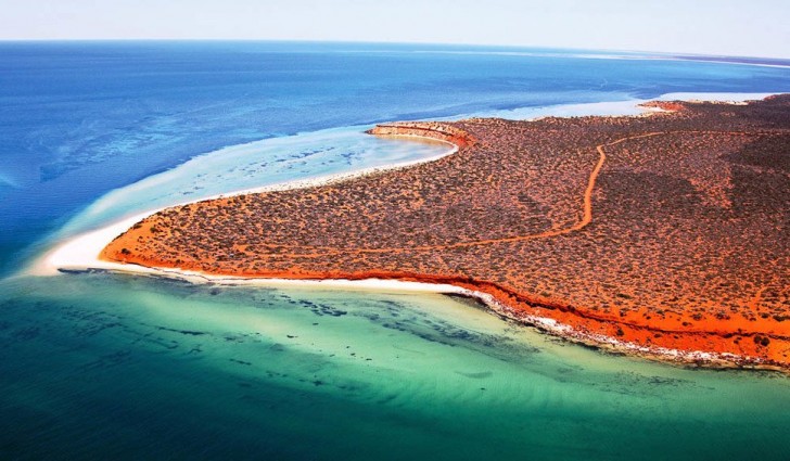 Shark Bay, Australie: ces côtes à la couleur rouge intense, entourées par l'eau cristalline et de plages blanches, sont un véritable paradis pour les touristes.