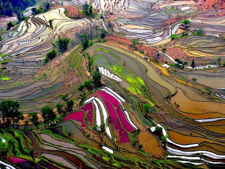 Yuanyang County, Chine: dans ces rizières en terrasses travaillent des milliers de personnes. Le panorama est tout simplement unique.