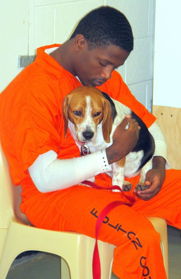 L'initiative va changer leurs vies: les chiens sont formés et sont plus adaptés à l'adoption, les détenus développent un sentiment de responsabilité et apprennent à être patients.