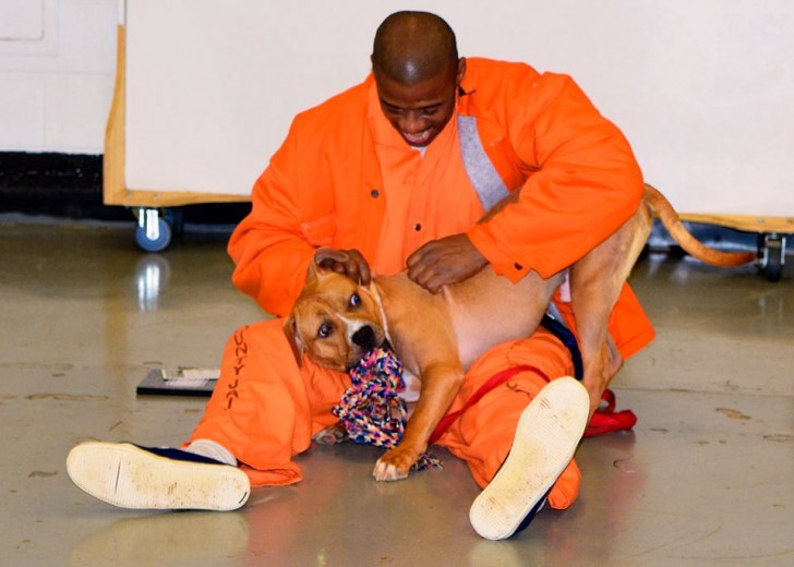 Voir un chien agressif se transformer grâce au dressage inspire les détenus au même changement: essayer de devenir de meilleures personnes.