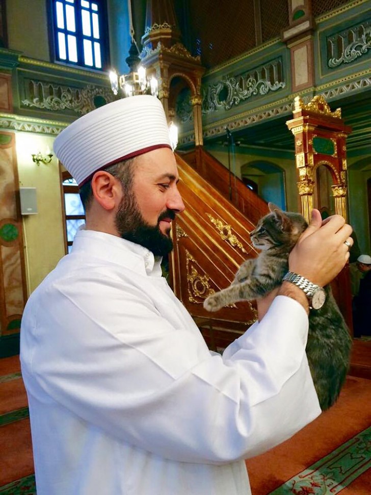 Een foto van de imam die de deuren van de moskee opende voor de katten van de straat.