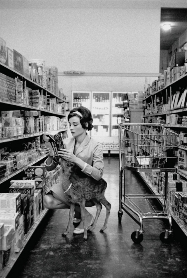 Audrey Hepburn doet boodschappen met haar babyhert - 1958
