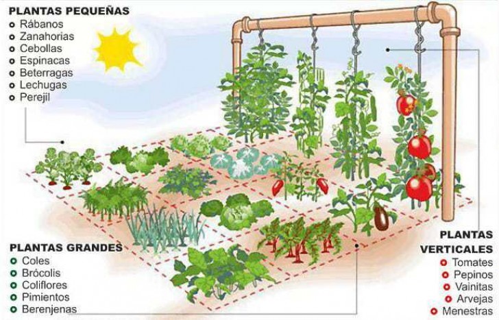 Utilizzando soltanto un metro quadro di spazio, si può coltivare una quantità di piante diverse, pari al consumo mensile medio di una persona.