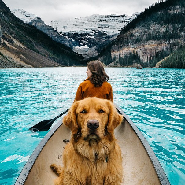 Porta il suo cane in giro per il mondo e dimostra che sono i migliori compagni di viaggio - 2