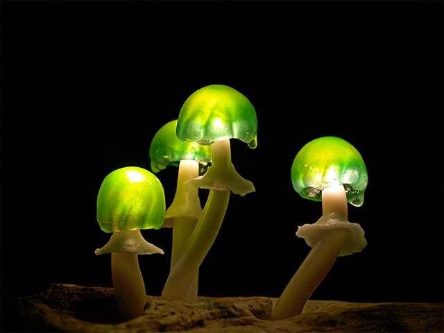 Queste straordinarie lampade LED trasformano la tua casa in una foresta incantata - 8