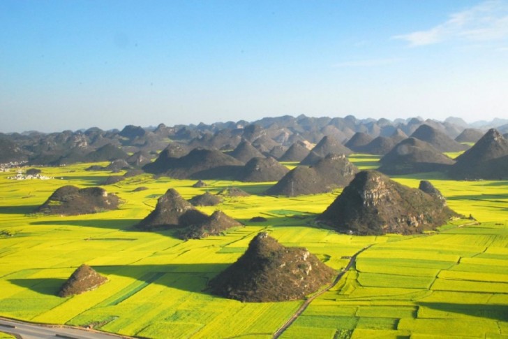 Campi di colza di Luoping, Cina