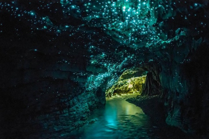 Waitomo Caves, Nieuw-Zeeland