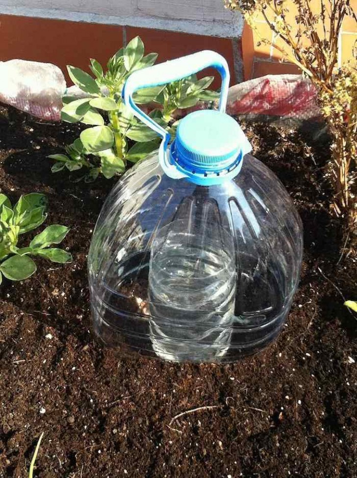 Die Installation ist kinderleicht: eine normale zur Hälfte geschnittene Flasche befindet sich unter einer viel größeren Flasche, auch die zur Hälfte geteilt.