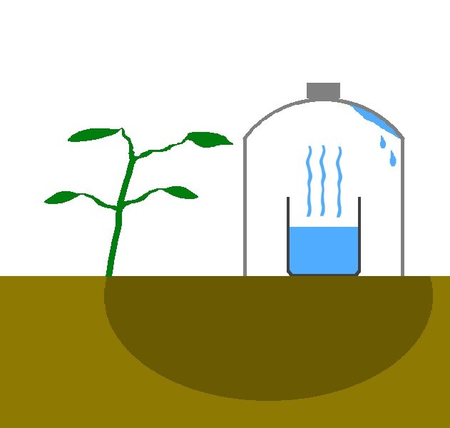 Por eso la dispercion de la humedad en el aire es practicamente nada y nada de subestimar, las plantas se nutriran de agua destilada.