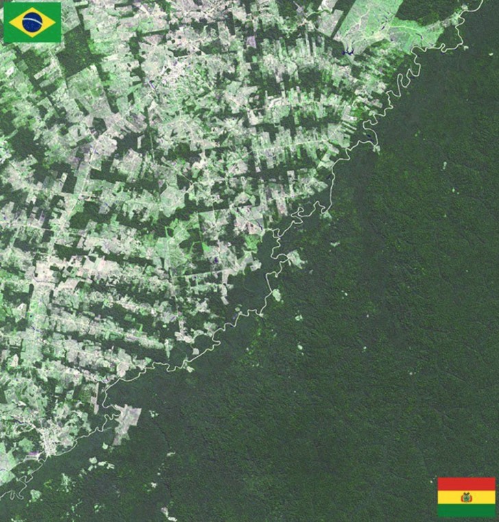 Brasile e Bolivia: il confine fluviale rivela le differenti politiche adottate sulla deforestazione. In verde chiaro il Brasile e in verde scuro la Bolivia.