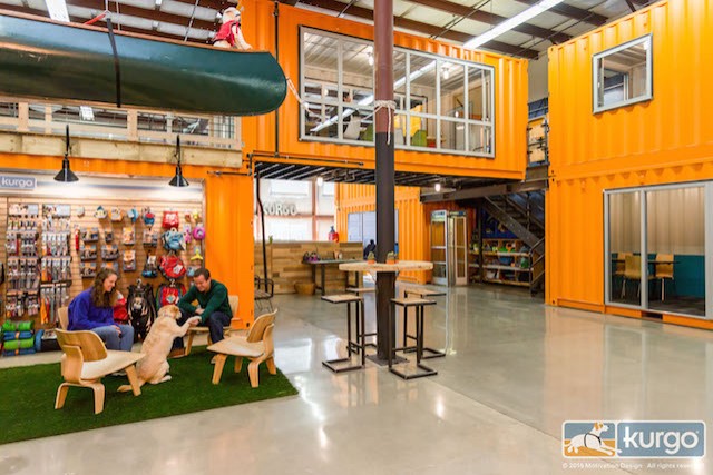 Het bedrijf is gevestigd in een enorm gerenoveerd magazijn, vol met open ruimtes waar de honden vrij kunnen rondlopen.