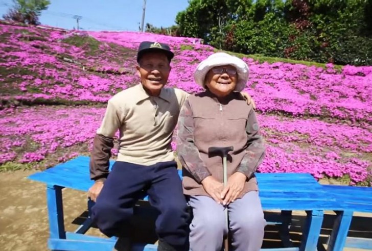 Loro sono il signor e la signora Kuroki. Vivono in Giappone, in una piccola casa di campagna, dove si occupano dei loro animali.