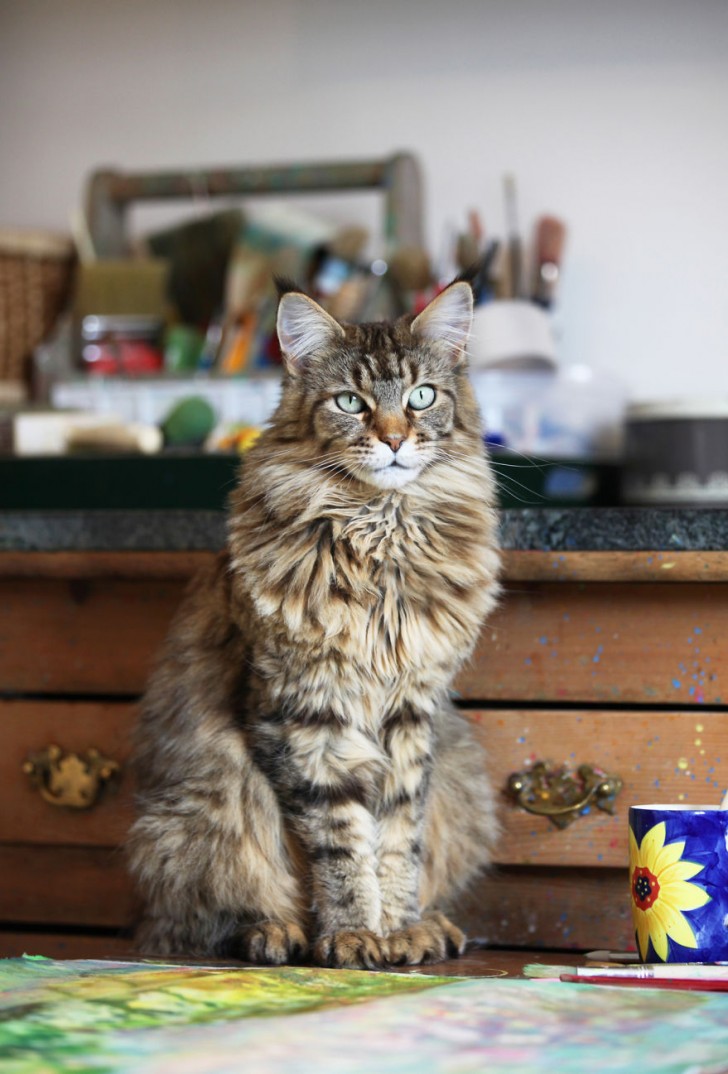 I suoi dipinti e il rapporto con il gatto Thula rappresentano le espressioni più alte della sua personalità.