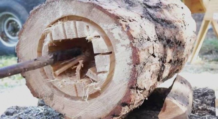 Come trasformare un tronco in un'arnia funzionante per contrastare l'estinzione delle api - 4