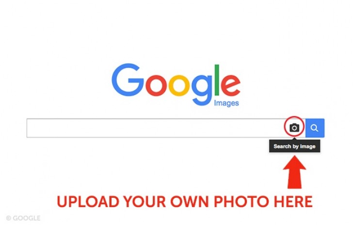 Google Immagini: è possibile effettuare una ricerca sul Web anche attraverso un'immagine da voi scelta. Una volta caricata, Google vi elencherà i siti che hanno usato quell'immagine.