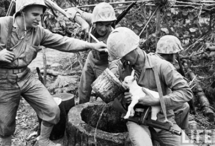 #8 Dei soldati offrono acqua a una capretta